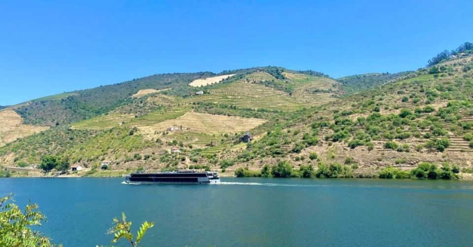 Porto: Douro Valley Tour With 2 Wineries, Lunch and Cruise - Important Tour Information