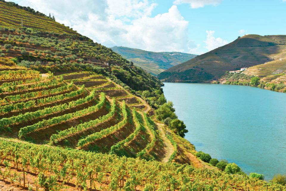 Porto: Douro Valley Tour With Wine Tasting, Cruise and Lunch - Douro River Cruise