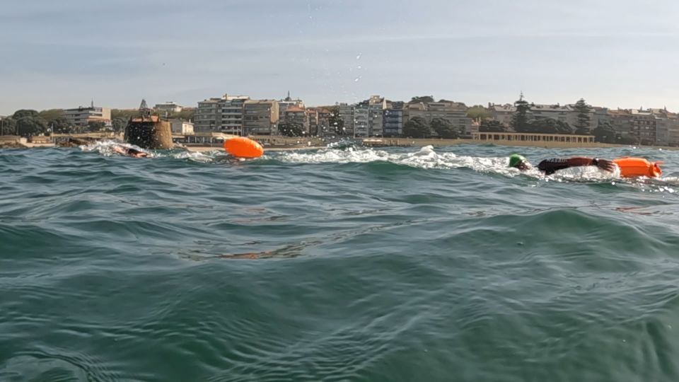 Porto: Open Water Swimming Tour With Wetsuit - Frequently Asked Questions