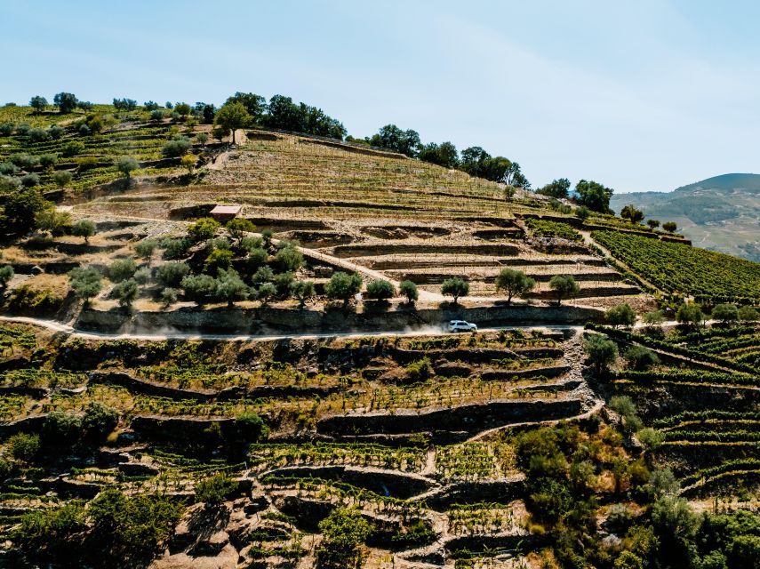 Porto: Private Douro Valley 4x4 Tour With Lunch - Frequently Asked Questions