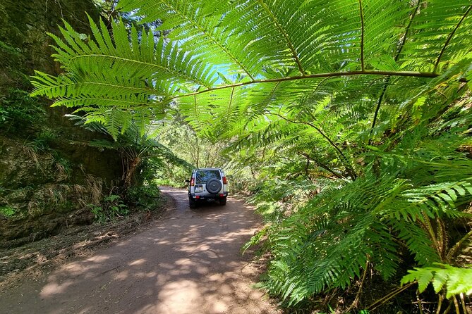 Private 4x4 Jeep Half Day - Picturesque Peaks, Vineyards, Skywalk - Flexibility and Refunds