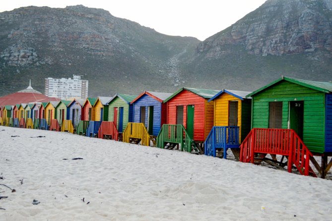 Private Cape of Good Hope Sightseeing and African Penguin Tour - Exploring Houtbay Harbour (Optional)