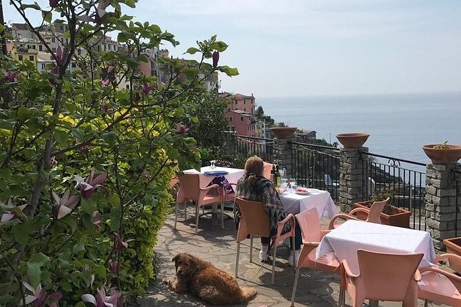 Private Cinque Terre by Ferry With Stop in Pisa From Florence - Booking and Cancellation