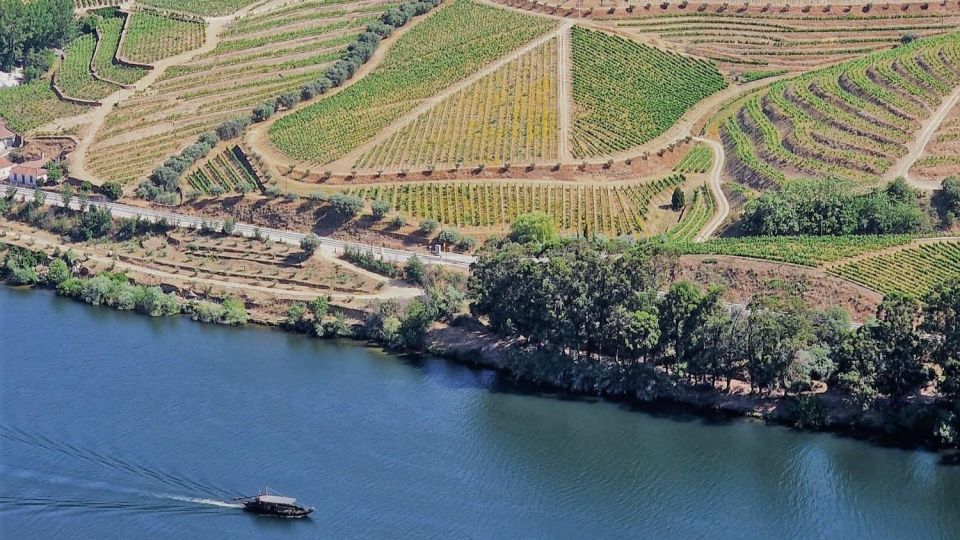 Private Douro Valley Tour:Visits,Tastings,Boat and Lunch 5* - Scenic Douro Exploration