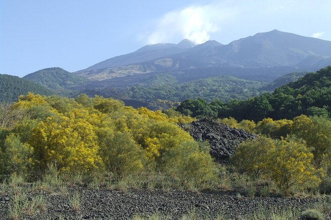 Private Etna Tour From Messina Cruise Terminal+ Lunch at Winery - Winery Experience