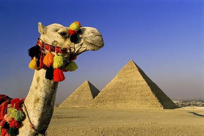 Private Full-Day Tour to Giza Pyramids, Sphinx, Saqqara Pyramids, and Memphis - Customer Reviews