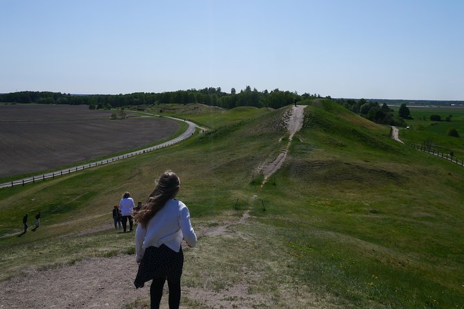 Private Full Day Viking History Tour From Stockholm Including Sigtuna and Uppsala - Booking Information