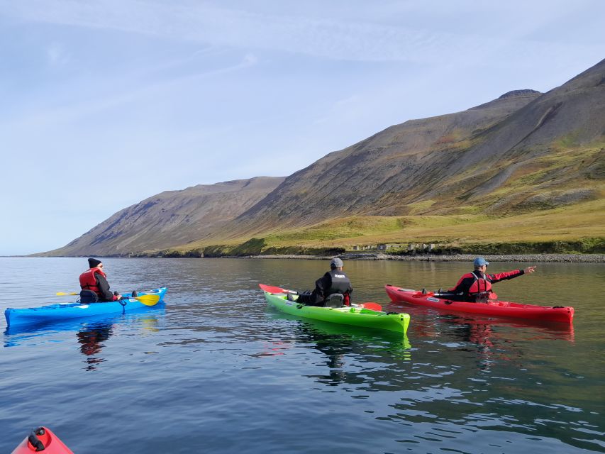 Private: Guided Kayak Tour in Siglufjörður. - Frequently Asked Questions