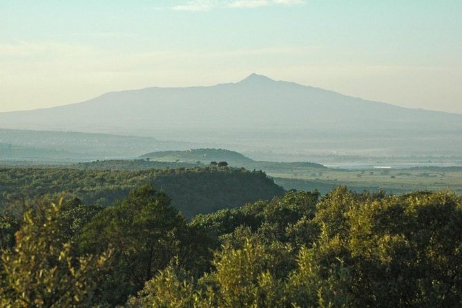 Private Hiking Day Trip to Mt. Longonot From Nairobi - Customer Reviews and Ratings