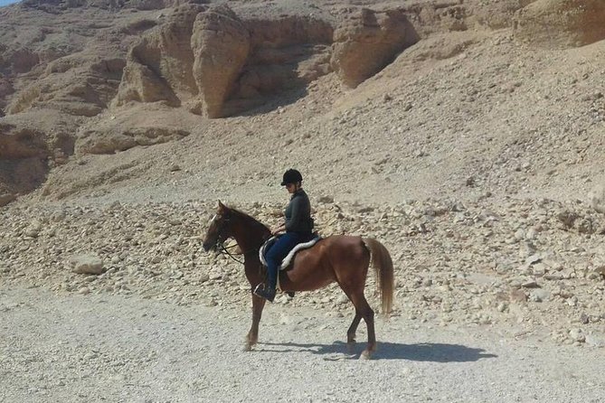 Private Horse Riding Tour in Luxor West Bank - Testimonials