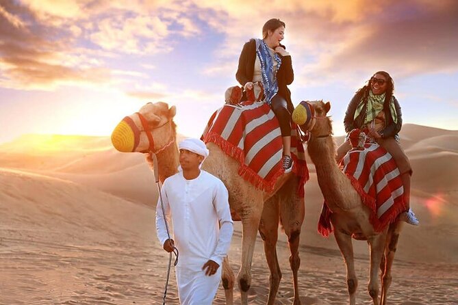 Private Premium Desert Safari 4x4 Vehicle With BBQ Dinner - DUBAI - Camel Ride Experience