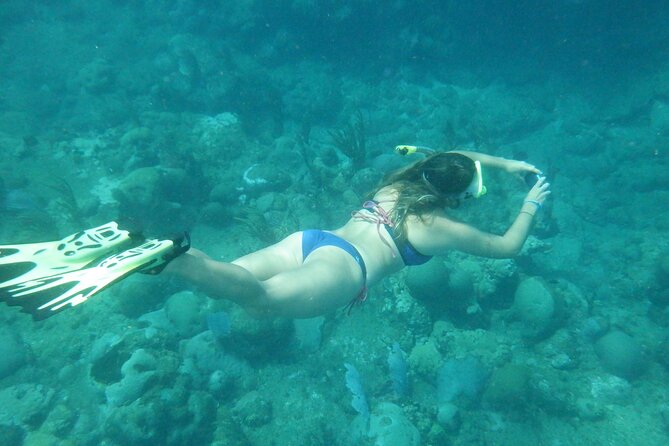 Private Rincon Snorkeling Adventure - Availability and Pricing