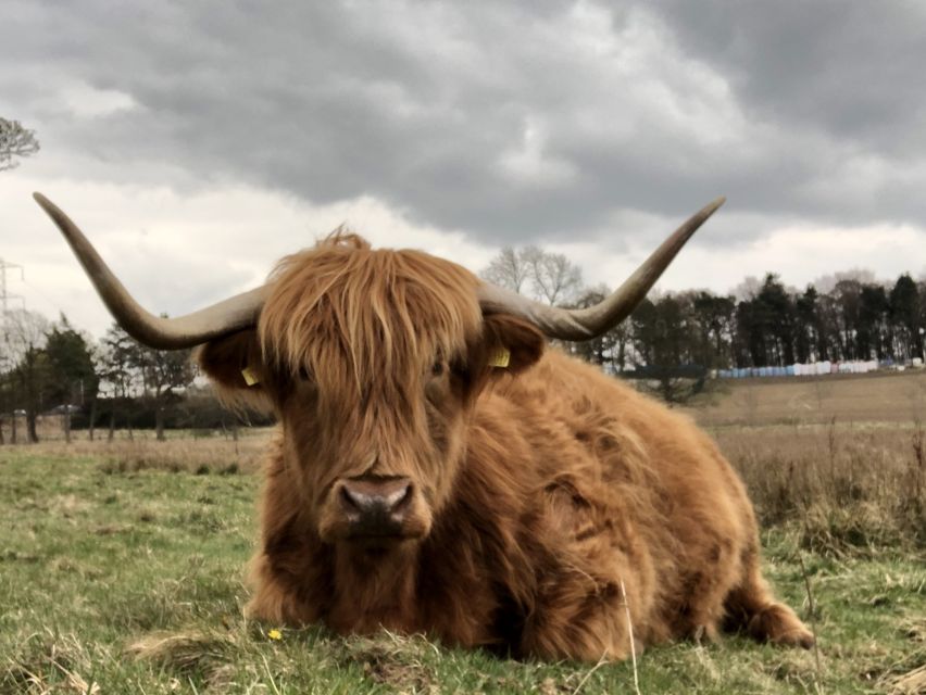 Private Scottish Central Highlands Countryside Tour - Packing Essentials