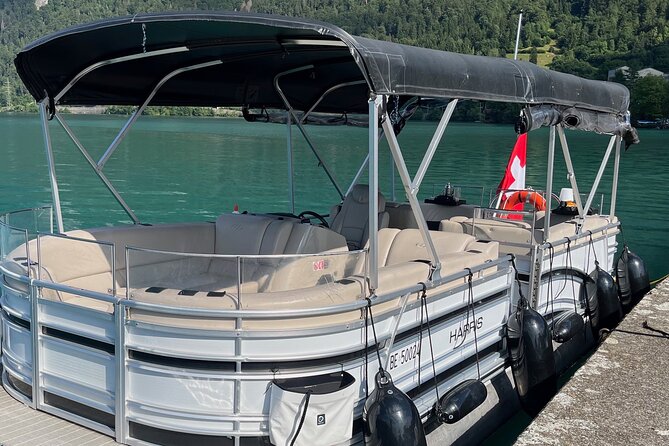 Private Sightseeing Boat Trip on Lake Thun, Interlaken - Private and Personalized