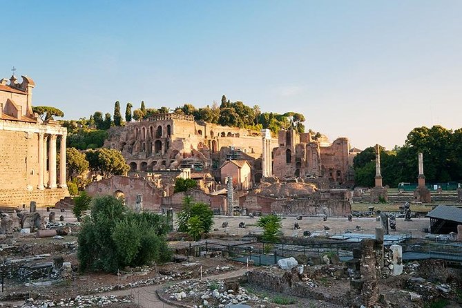 Private Tour: Colosseum & Imperial Rome Art History Walking Tour - 3207A - Highly Rated Guest Reviews