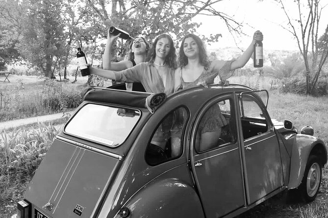 Private Tour in 2cv in the Vineyards With Tasting and Picnic - Tasting the Local Wines