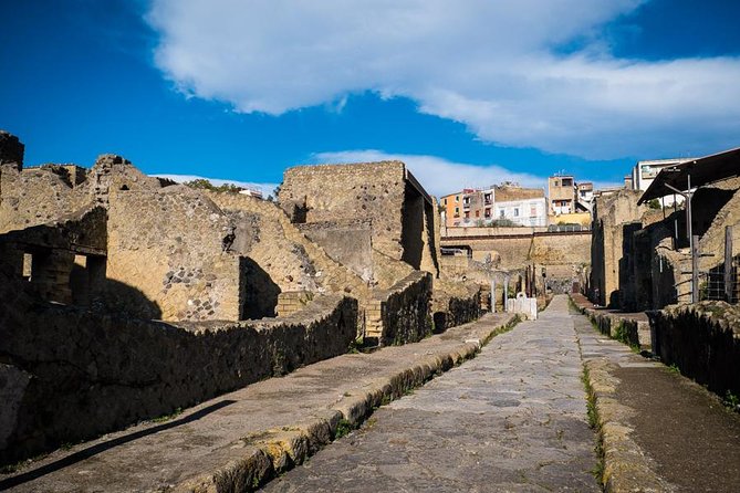 Private Tour in Pompeii at Your Pace - Confirmation and Logistical Details