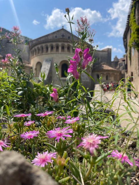 Private Tour of Saint Guilhem and the Devils Bridge - Accessibility Information