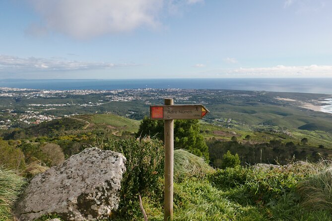 Private Tour of Sintra and Surroundings - Wandering Monserrate Park