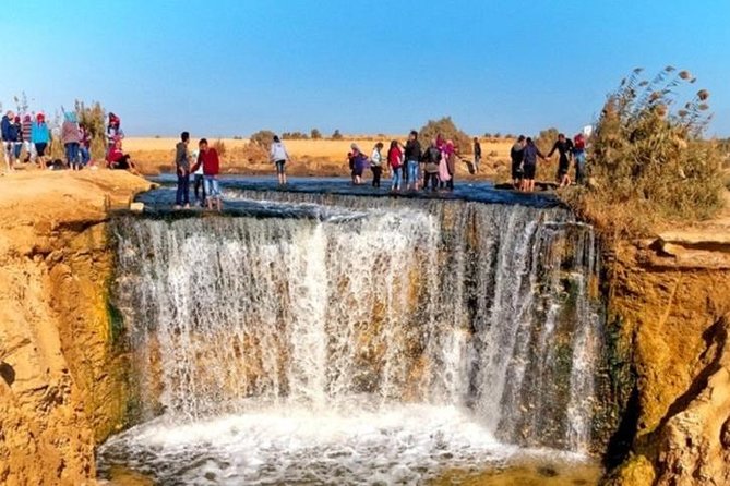 Private Tour to Fayoum Oasis, Valley of the Whales & Wadi Al Rian From Cairo. - Accessibility and Group Size