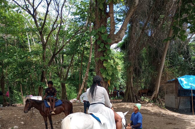 Private Transport to Dunns River/ Blue Hole/ Horseback Riding - Activity Descriptions