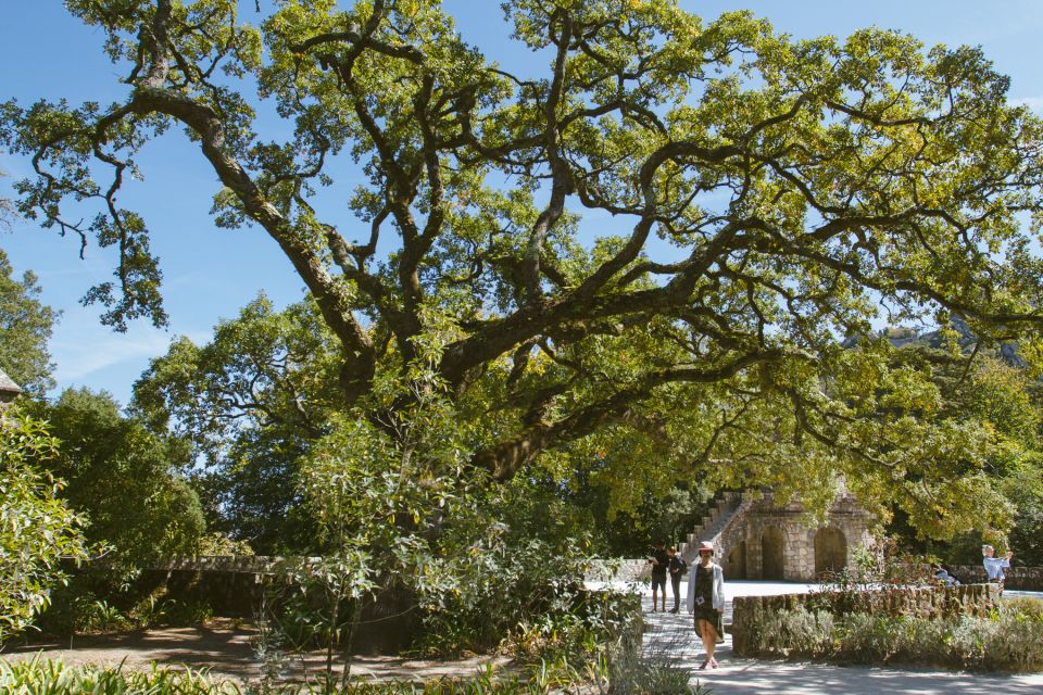 Private Walking Tour of Sintra Village + Quinta Da Regaleira - Explore Sintra Village