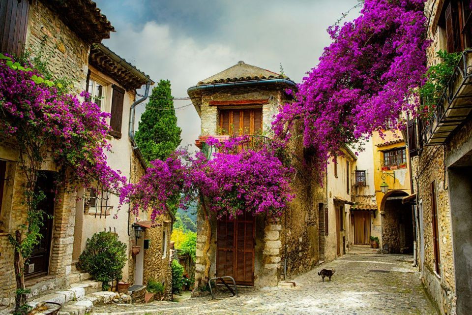 Provence & Its Medieval Villages Full Day Sightseeing Tour - Pricing and Booking Details