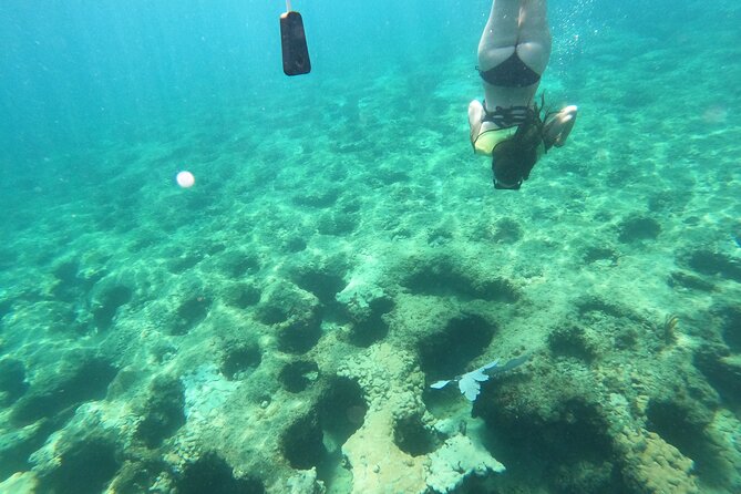 Public Guided Snorkel Tour of Fort Lauderdale Reefs - Gratuities and Cancellation Policy