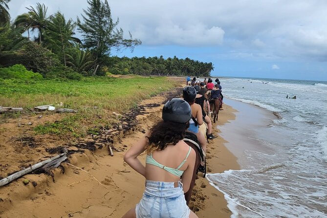 Puerto Rico Beach Horseback Riding Guided Tour - Booking and Availability