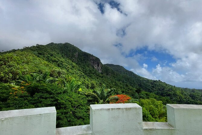 Puerto Rico: El Yunque Sightseeing Half-Day Tour With Transfer - Moderate Fitness Level Required