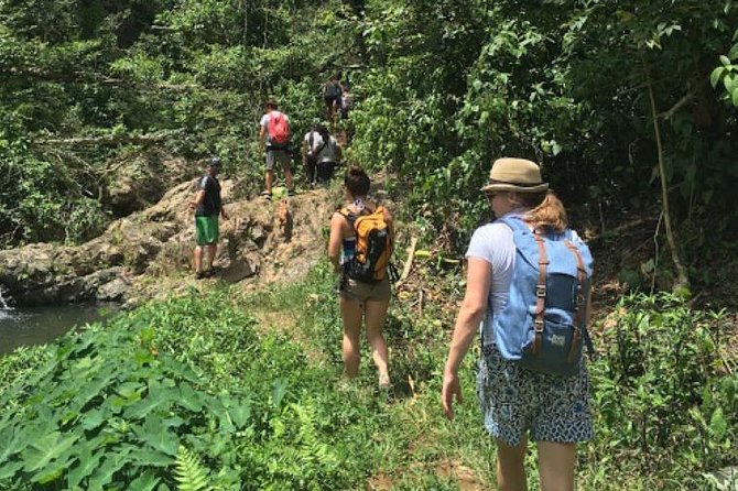 Puerto Rico Waterfall Hiking Tour: Discover Hidden Gems - Refreshing Swim