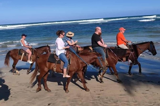 Punta Cana Beach Horseback Riding - Restrictions