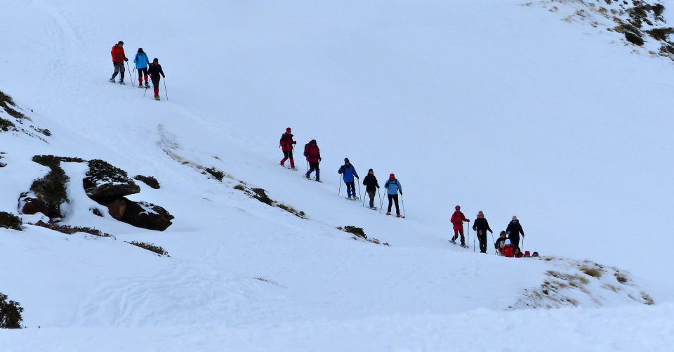 Pyrenees: A-Day Hike With a Choice of 3 Levels - Things To Known