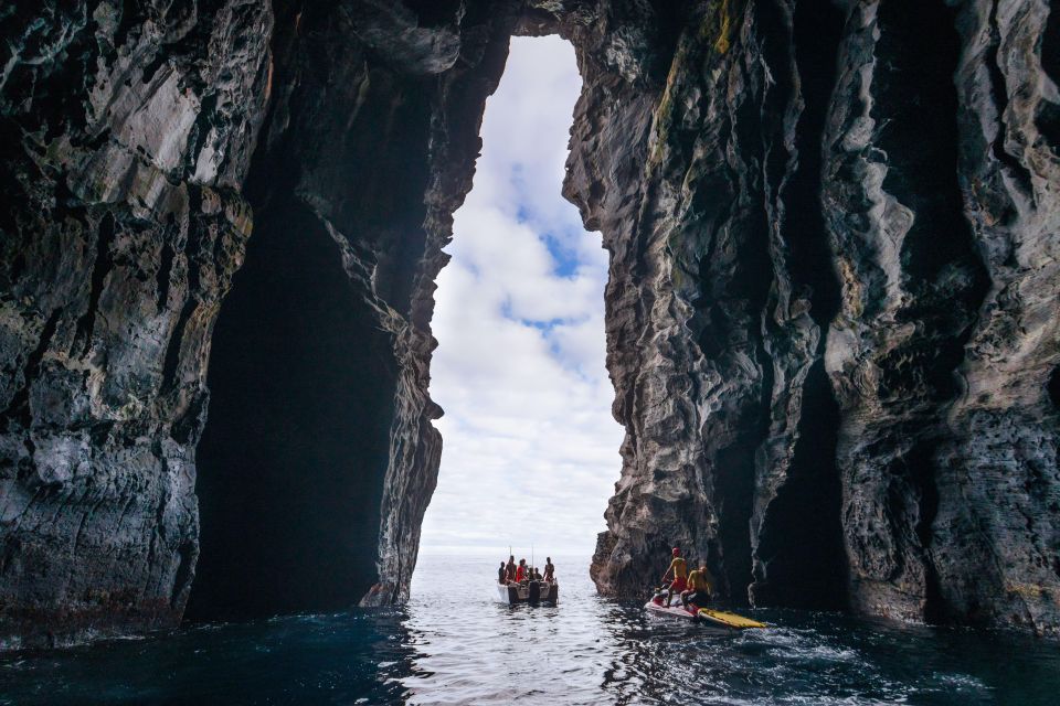 Rabo De Peixe: Cave Boat Tour on the North Coast - Discovering Marine Biodiversity