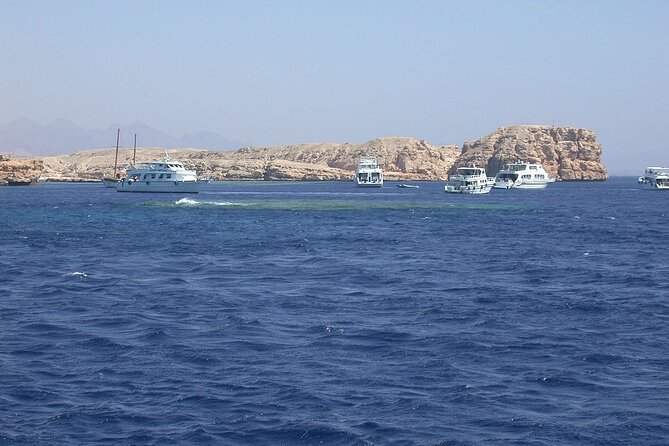 Ras Mohamed and White Island Snorkeling Trip and One Stop Diving-Sharm El Shiekh - Customer Ratings and Reviews