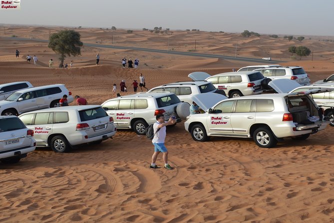 Red Dune Evening Desert Safari With BBQ Dinner and Camel Ride - Captivating Cultural Entertainment Shows