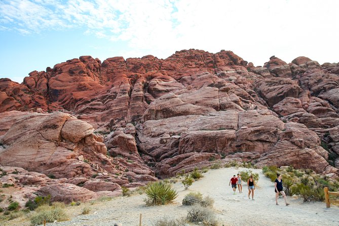 Red Rock Canyon Hike With Transport From Las Vegas - Transportation and Accessibility