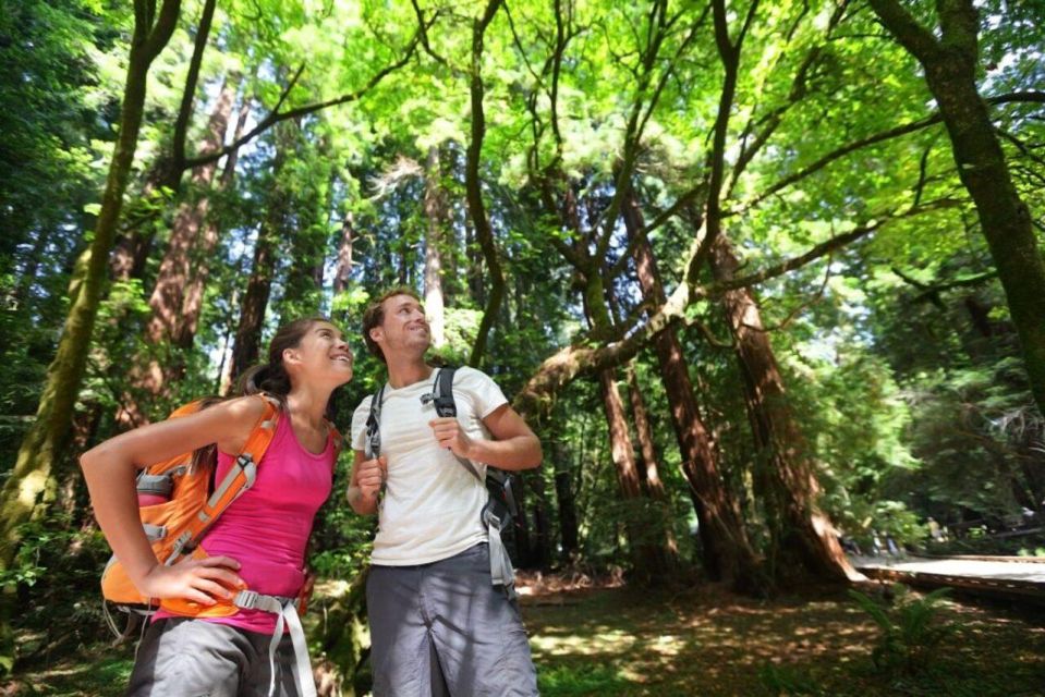 Redwood Retreat: Tour to Muir Woods From San Francisco - Experience the Golden Gate Bridge