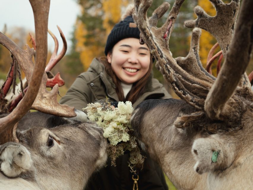 Reindeer Farm Visit With Professional Photographer - Frequently Asked Questions