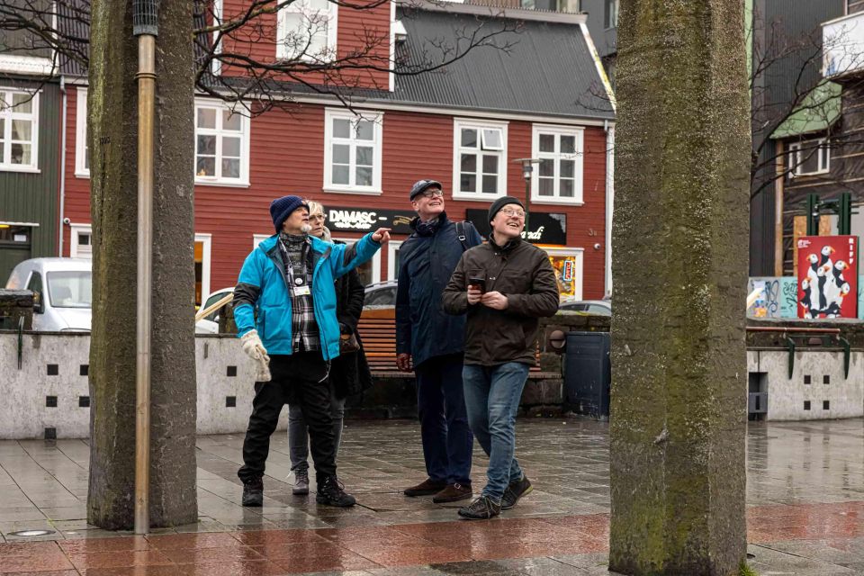 Reykjavik: Sightseeing Walking Tour With a Viking - Strolling Laugavegur