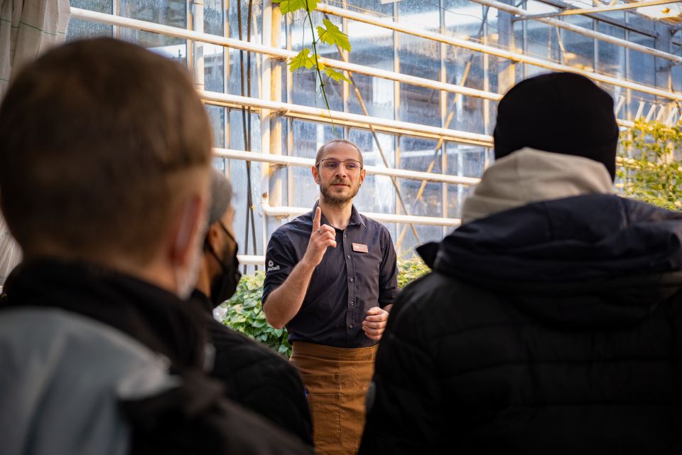 Reykjavik: The Golden Circle Full-Day Tour - Fridheimar Greenhouse