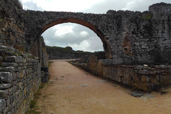 Roman Ruins of Conimbriga and Sicó Mountain, Half-Day From Coimbra - Traveler Reviews and Feedback