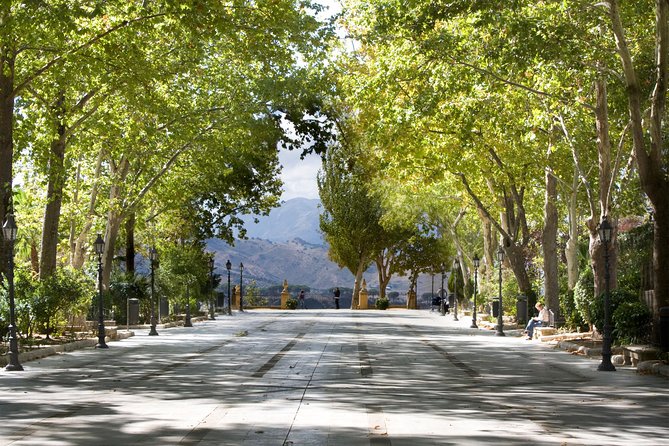 Ronda and White Villages From Seville - Tour Logistics and Considerations