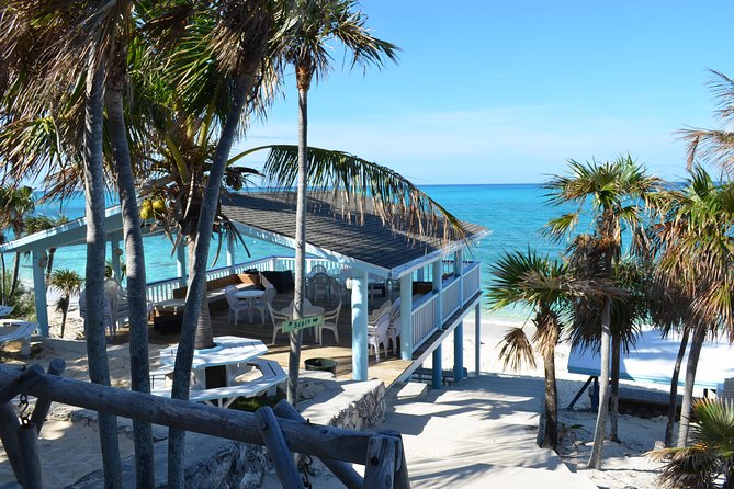 Rose Island Bahamas Original Swimming Pigs and Snorkeling - Snorkel in Crystal-Clear Waters