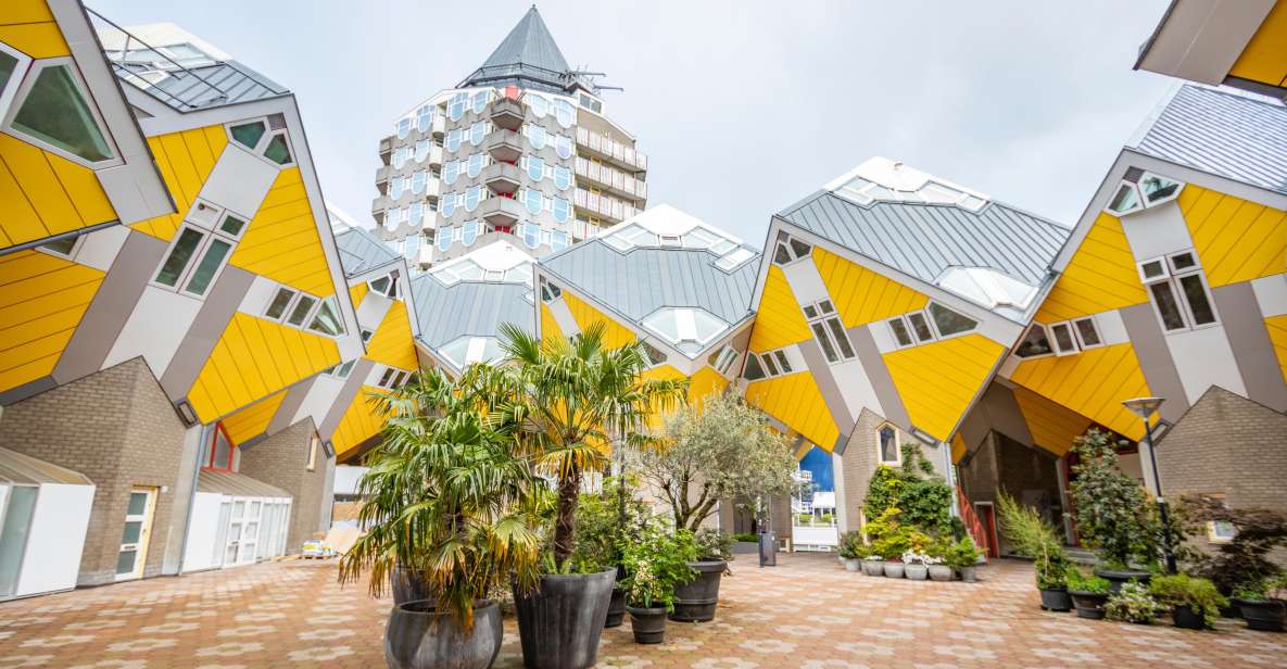 Rotterdam: Private Architecture Tour With a Local Expert - Tailored Itinerary Options