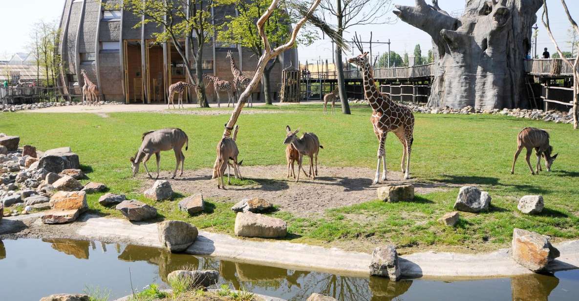 Rotterdam: Rotterdam Zoo Blijdorp Entry Ticket - Recommended Visit Duration