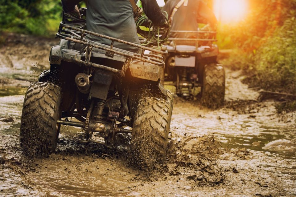 Rovaniemi: Delightful Quad Bike Ride in the Arctic Circle - Knowledgeable Guide