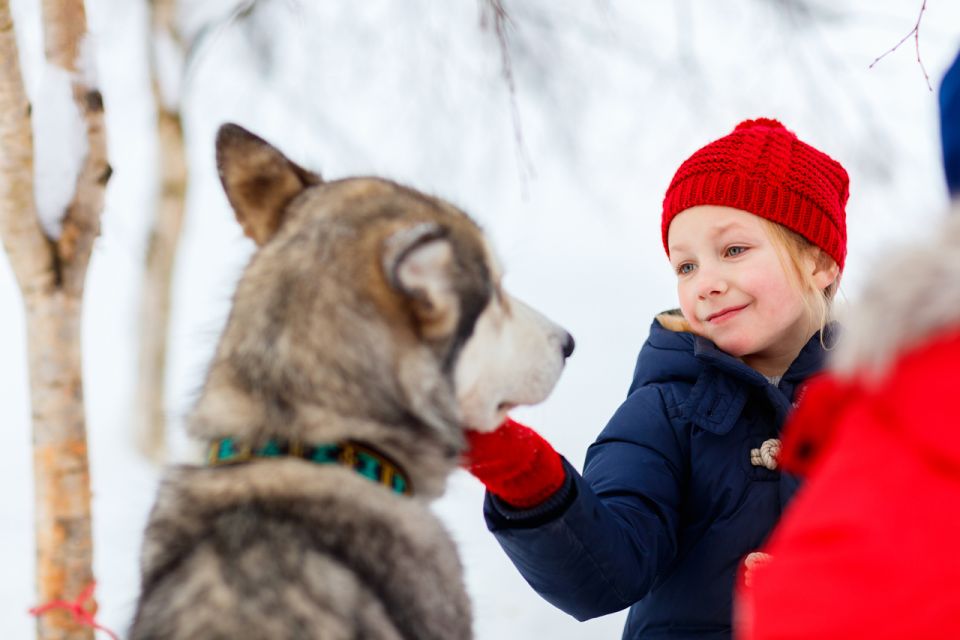 Rovaniemi: Husky Park and Reindeer Farm Combo - Exploring Santa Claus Village