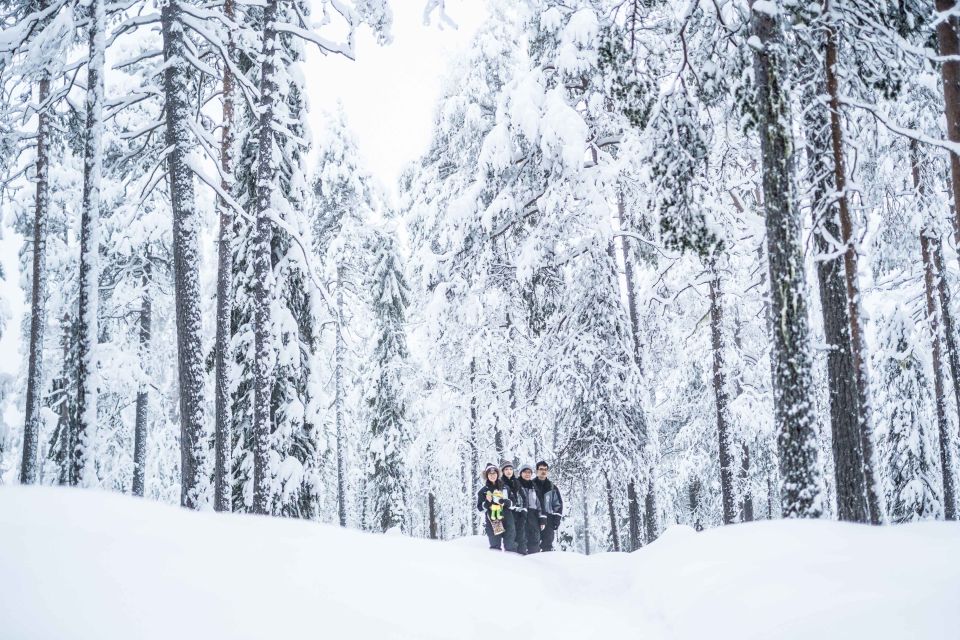 Rovaniemi: Nordic Forest Wilderness Adventure - Climbing Hills for Views