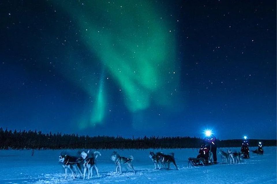 Rovaniemi: Northern Lights and Husky Sleigh Ride - Pricing and Reservation Information